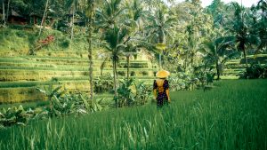 Indonesia fai da te: guida completa a visti, documenti e consigli pratici