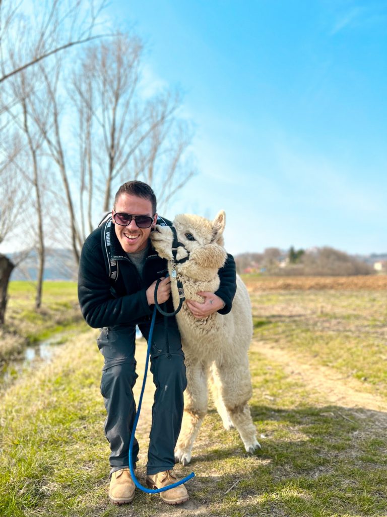 a&alpaca monteviale Vicenza