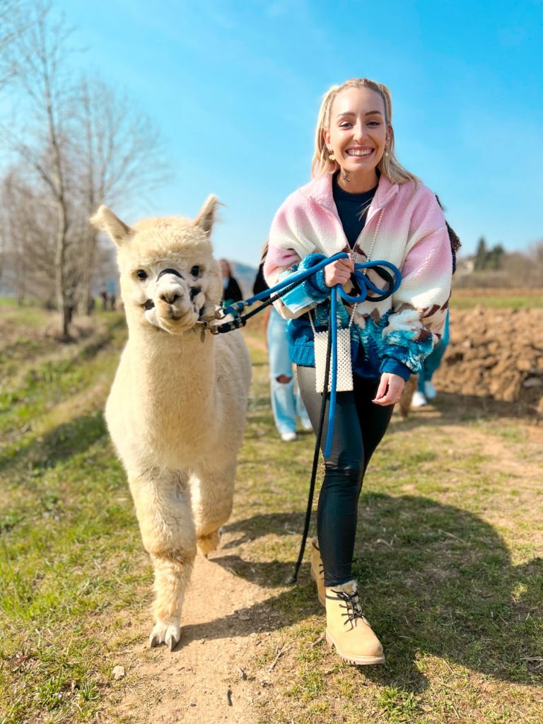 Trekking con alpaca a Vicenza in veneto