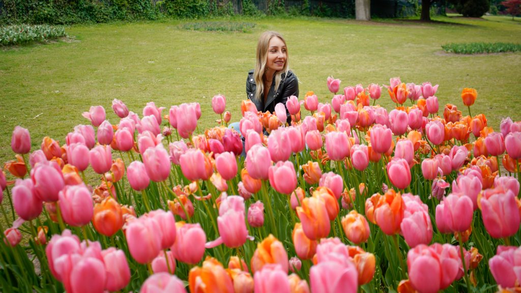 Parco giardino Sigurtà tulipani in veneto
