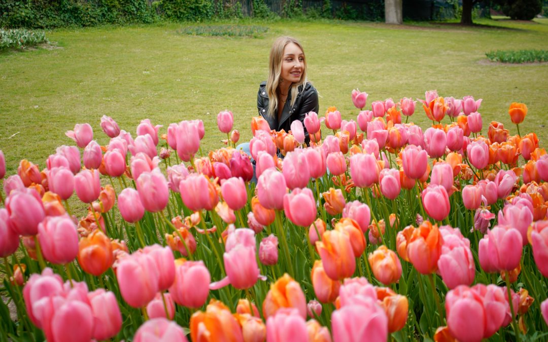 Dove vedere i Tulipani in Veneto: Parco Sigurtà