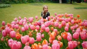 Dove vedere i Tulipani in Veneto: Parco Sigurtà