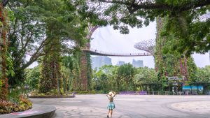 I sei luoghi più instagrammabili di Singapore con mappa