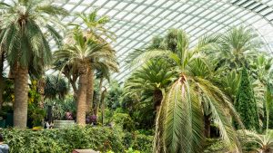 Visitare i Gardens by the Bay a Singapore: Costi, orari e consigli