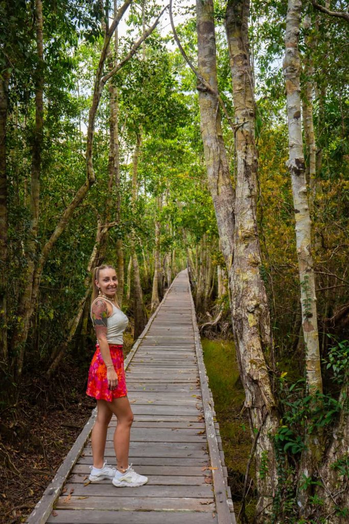 crociera privata nel borneo Tanjung Puting national park