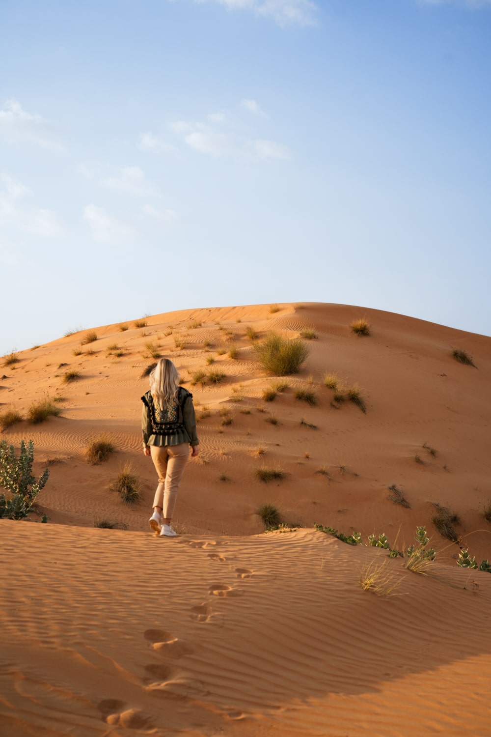 abu Dhabi 3 giorni