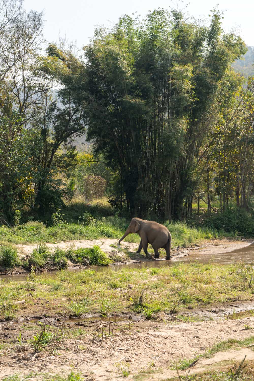 Chiang Mai quanti giorni