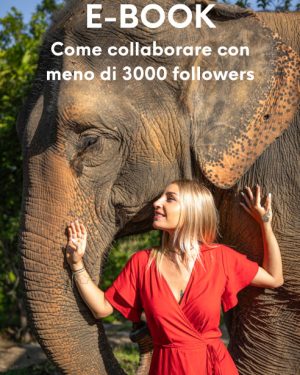 E-Book : Come collaborare con meno di 3000 followers