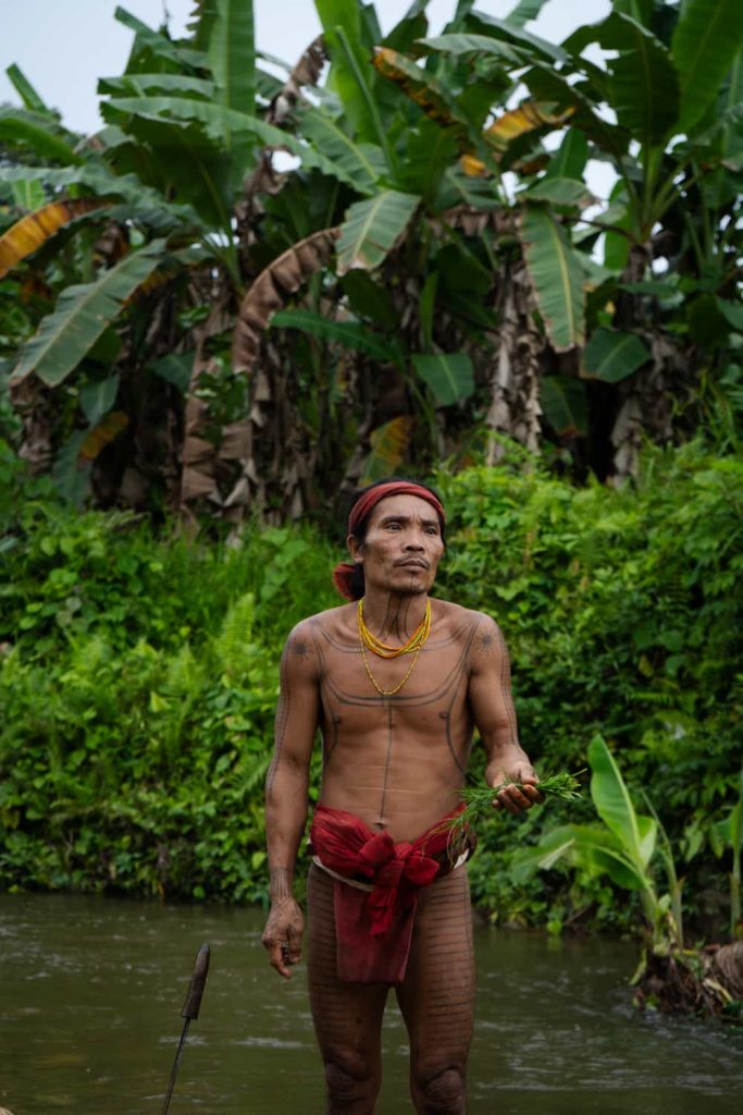 mentawai Siberut
