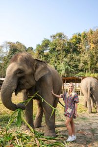 Santuari etici a Chiang Mai con gli elefanti: quale scegliere?