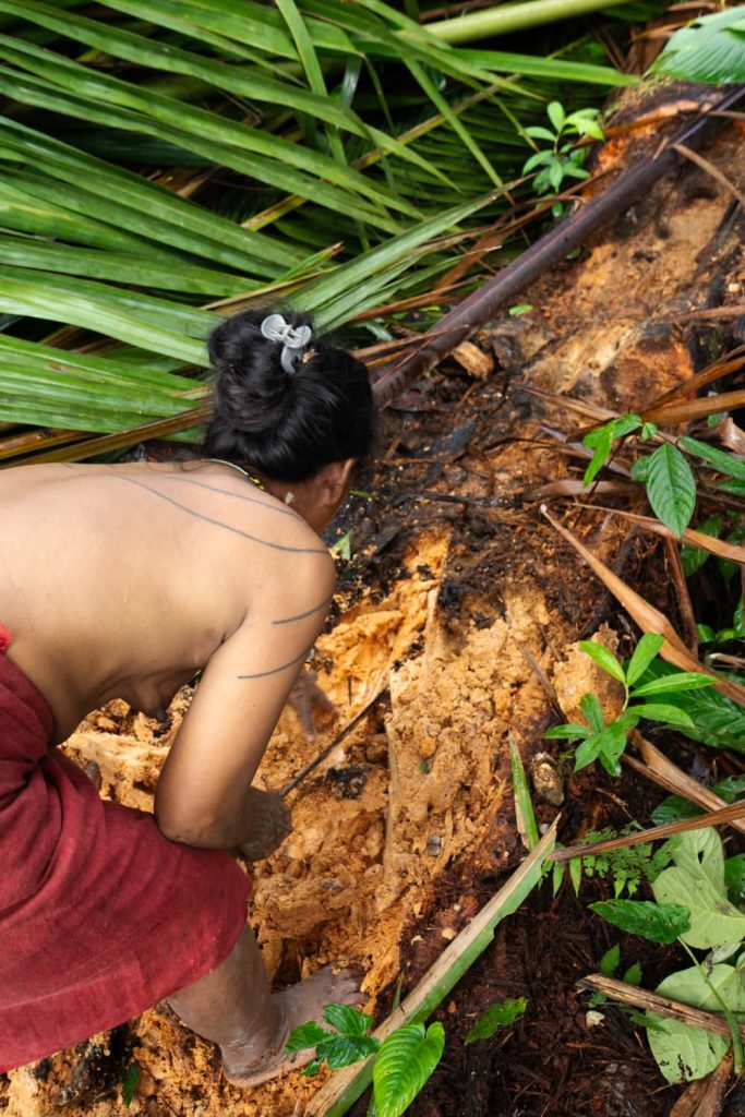 4 giorni con la tribù mentawai larve 