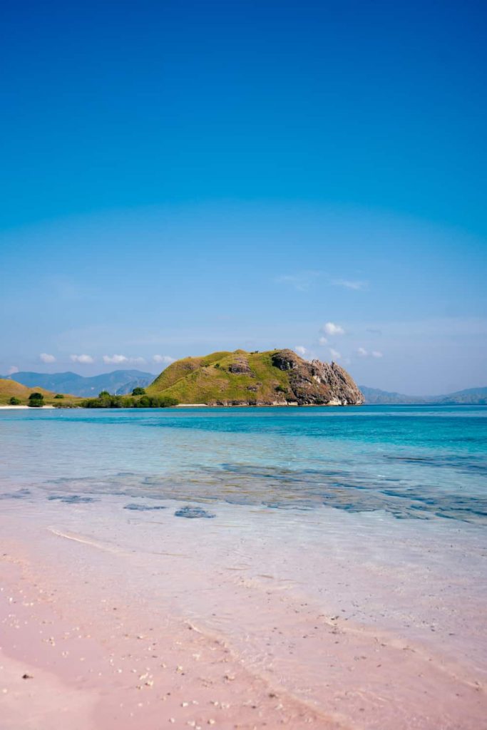 Komodo quando andare pink beach