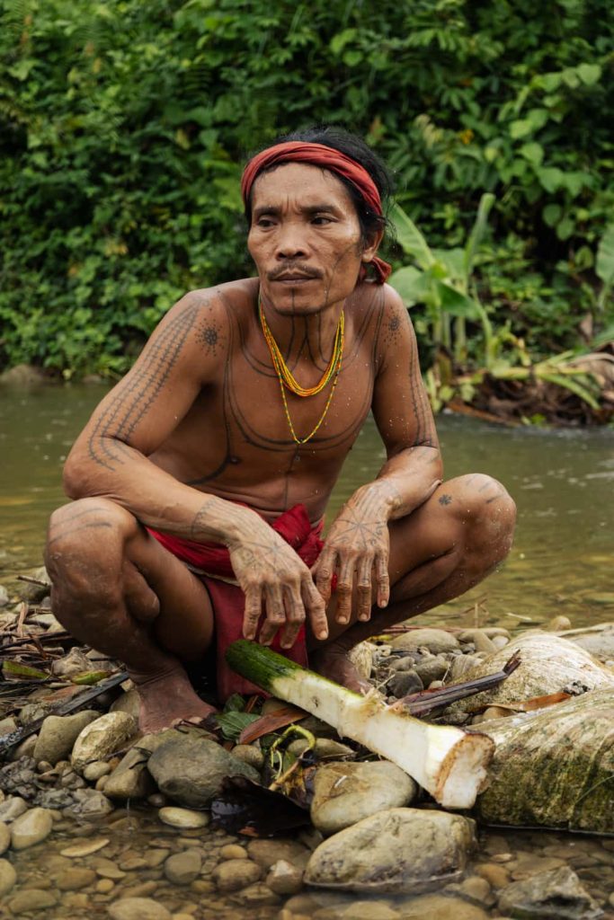 medicina mentawai