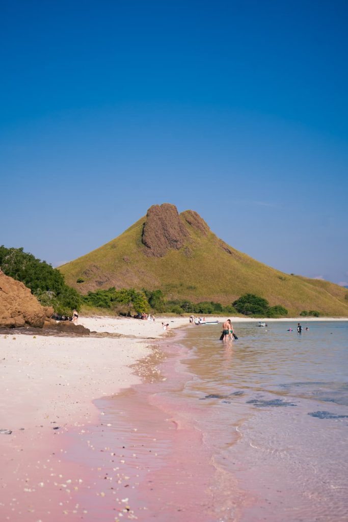 pink beach komodo