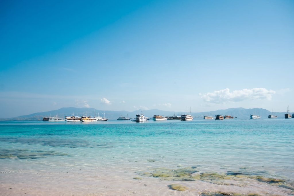 pink beach komodo
