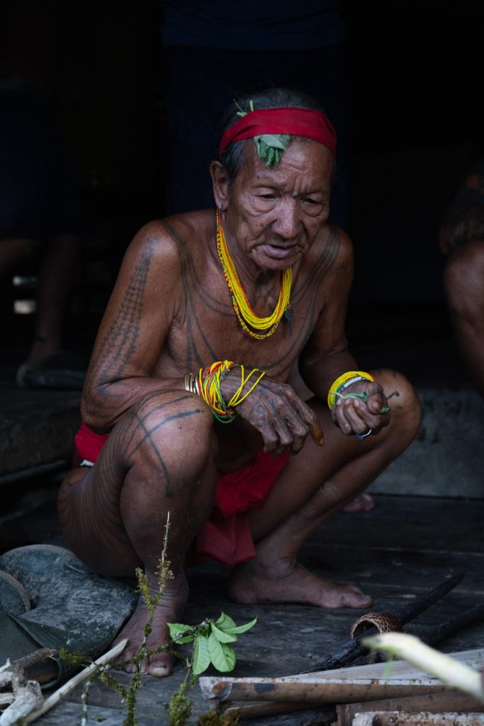 veleno frecce mentawai