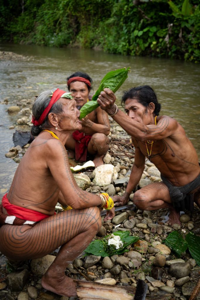 siberut mentawai sumatra 