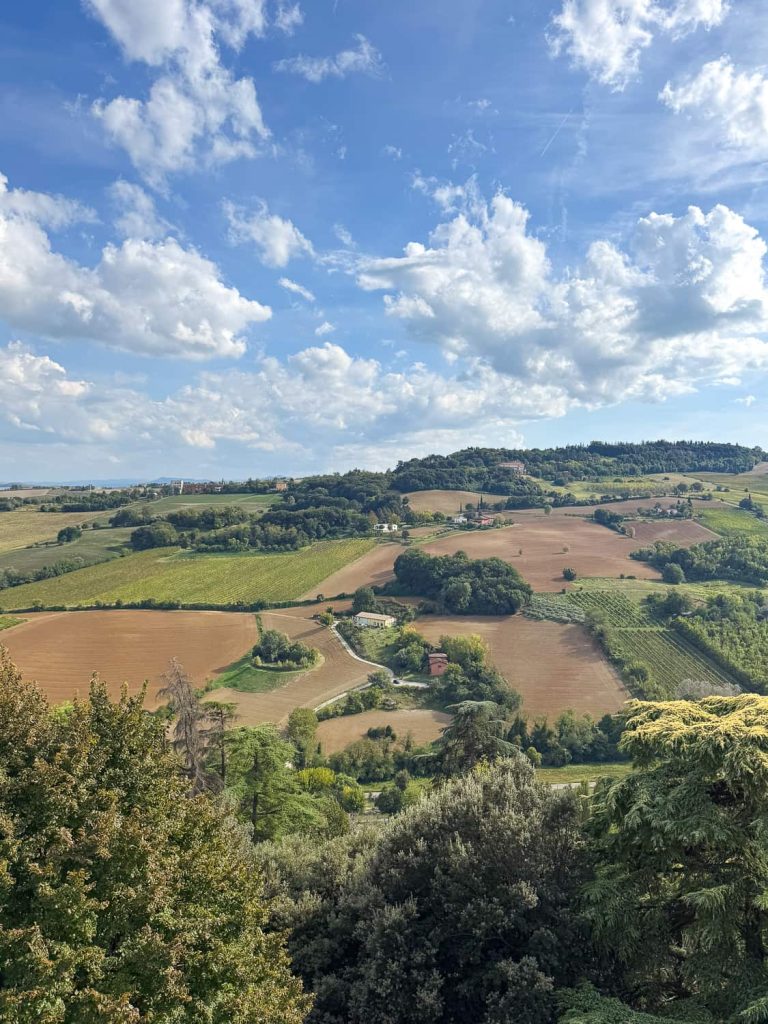 colline e vigneti dozza