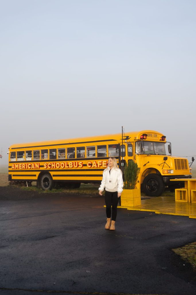 American Schoolbus Café Islanda
luoghi da vedere in islanda