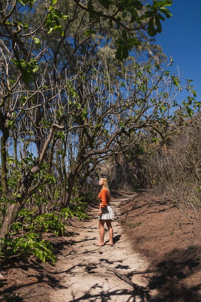 Itinerario Seychelles Aride Island
