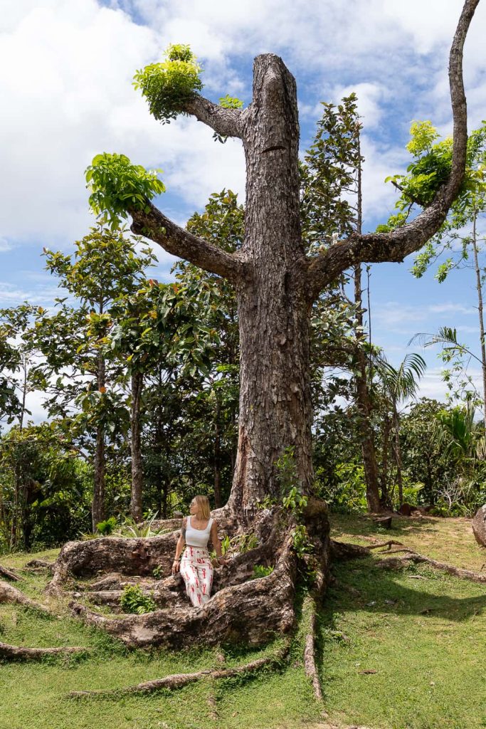 come muoversi all'interno delle isole: Mahé, la Digue e Praslin