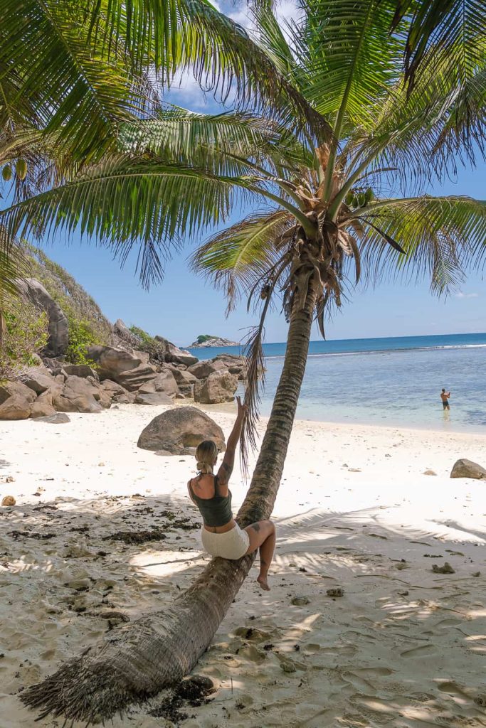 moyenne island Itinerario Seychelles