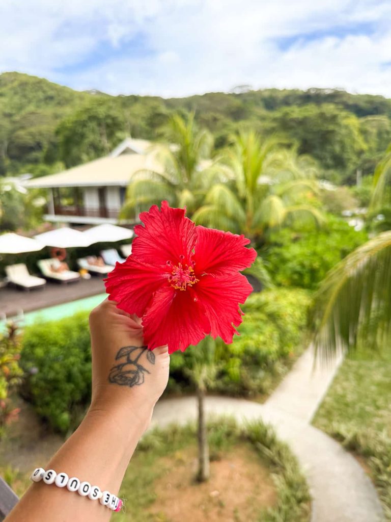 seychelles quando andare periodi migliori