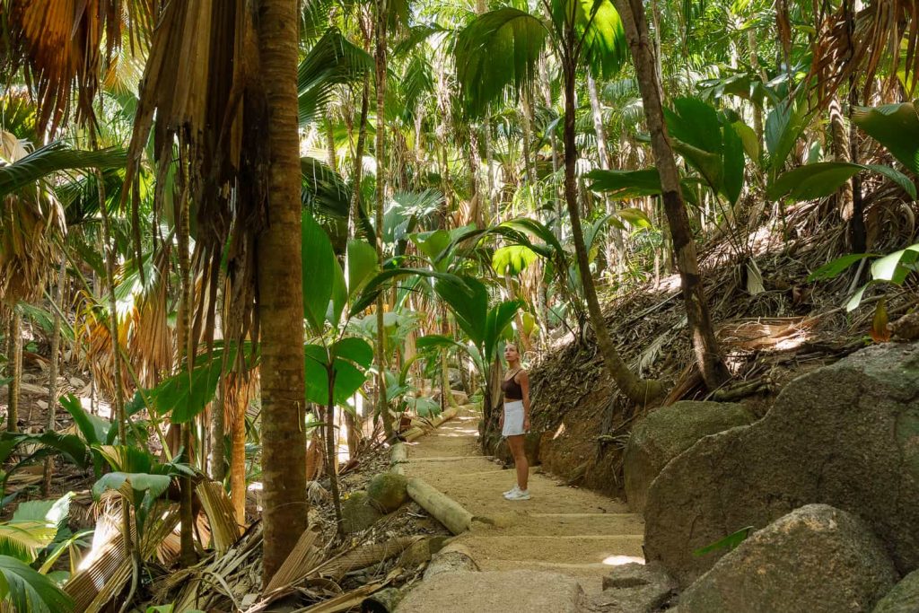 vallee de mai Praslin
