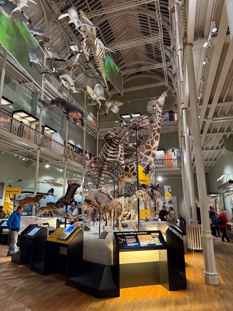national museum of Scotland Edimburgo in 2 giorni 