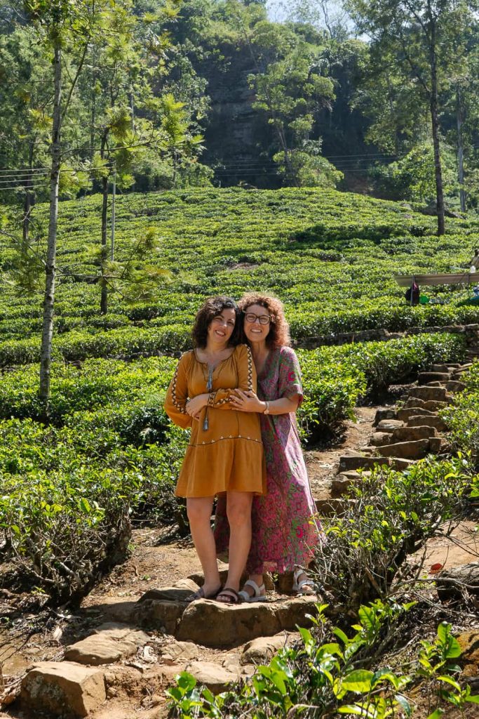 esperienze locali da fare in Sri Lanka fabbrica del the 