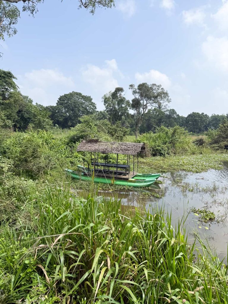 esperienze locali da fare in Sri Lanka villaggio rurale a Sigiriya