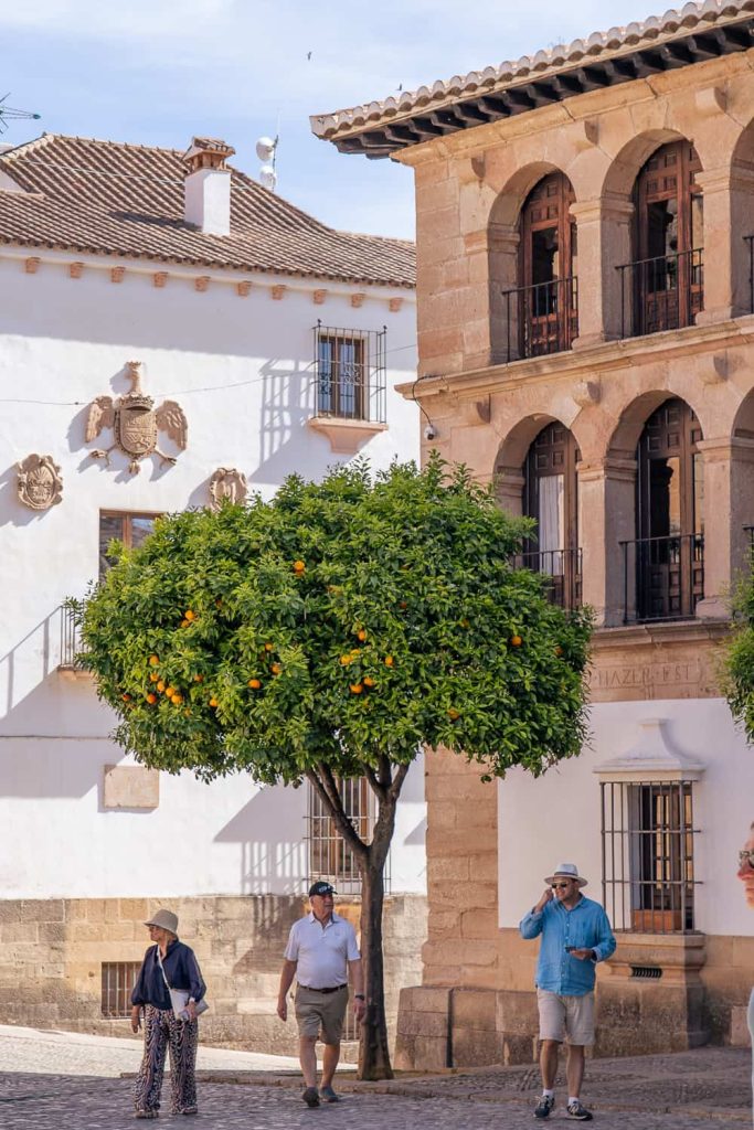 andalusia on the road