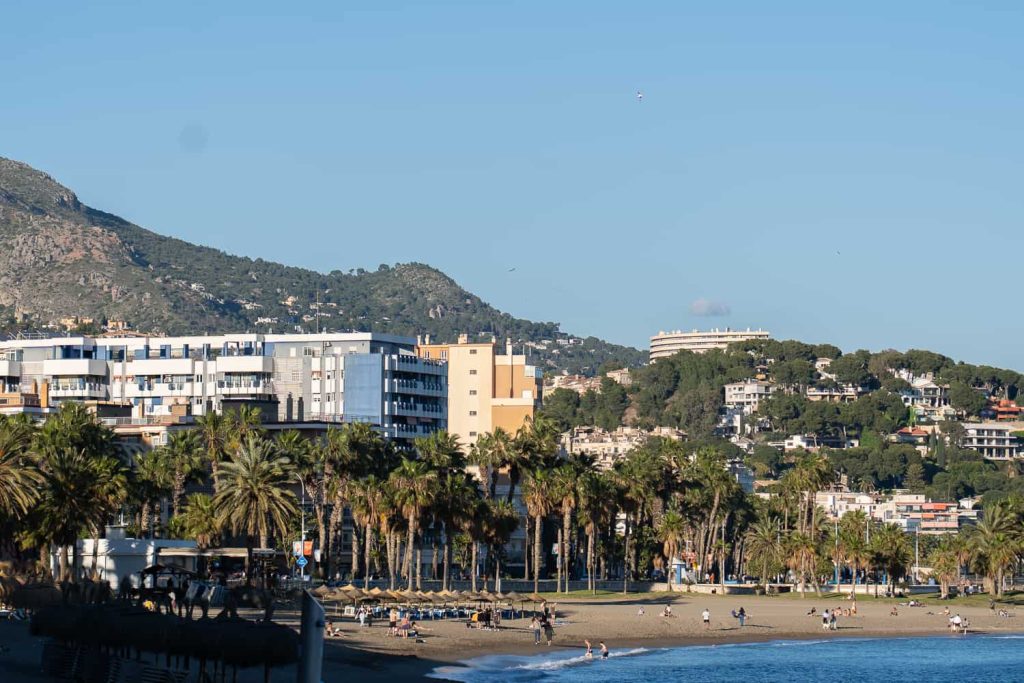 la malagueta