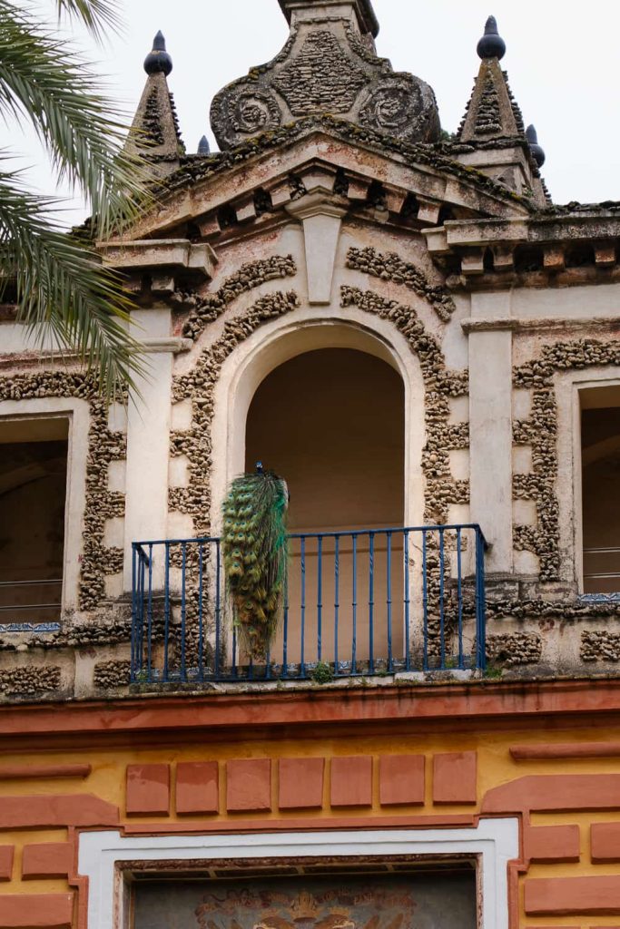 biglietti real alcazar siviglia