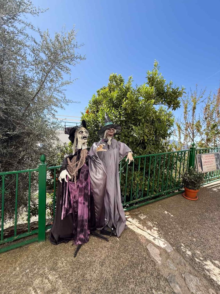 soportujar cosa vedere