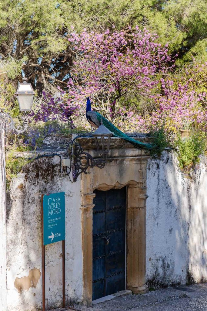 casa del rey moro ronda cosa vedere