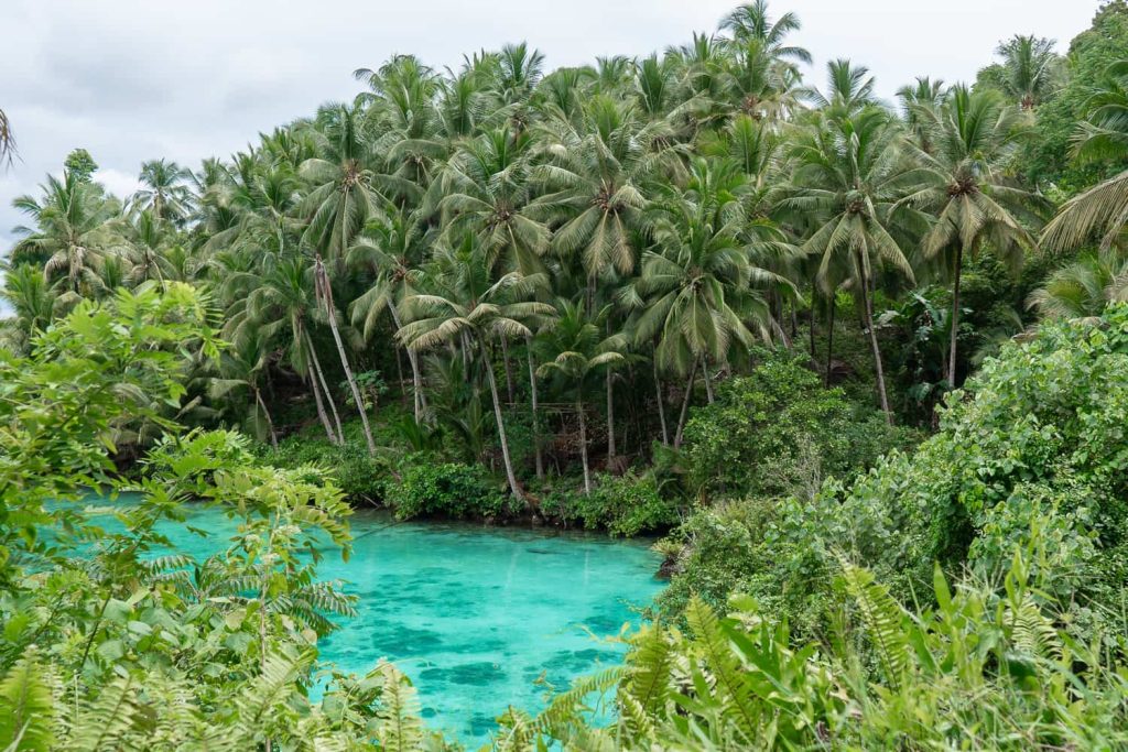 pulau peleng