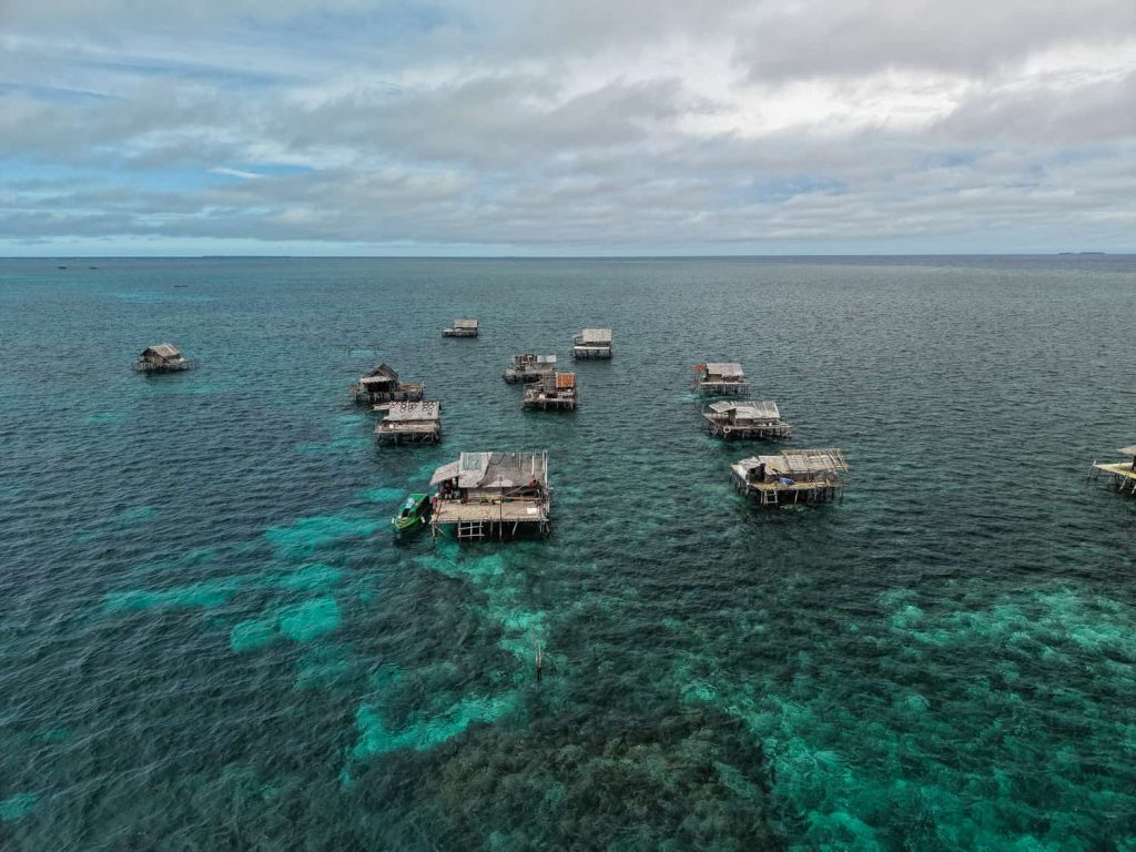 mandebulu reef banggai island