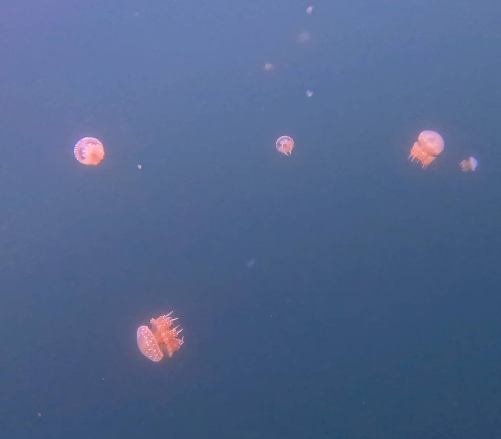 lago delle meduse mbuang mbuang