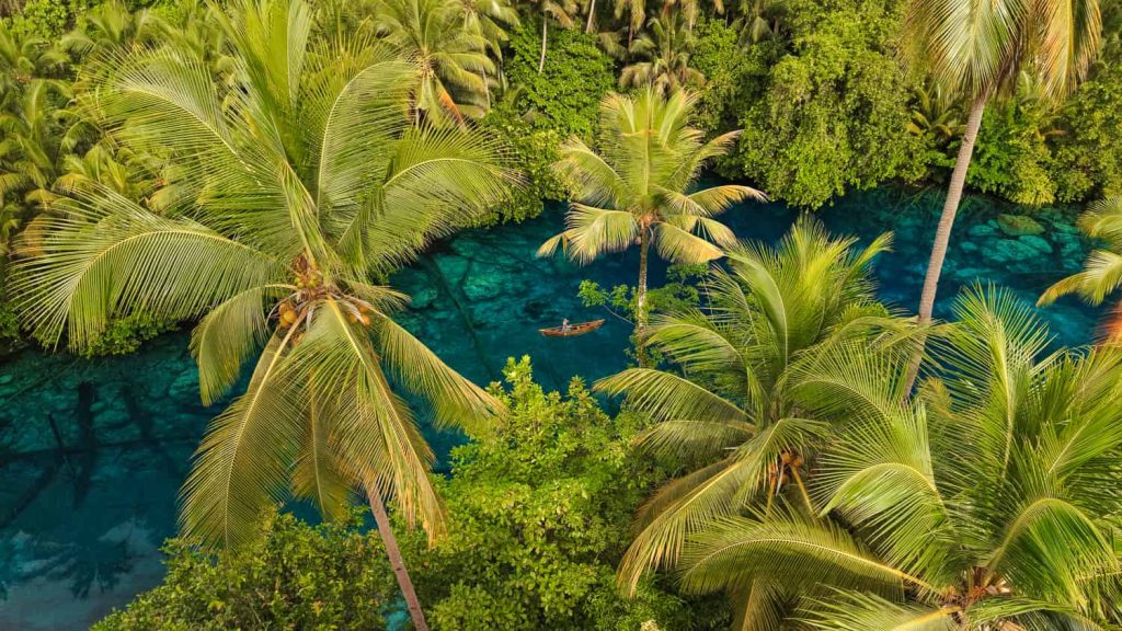 sulawesi itinerario paisu pok