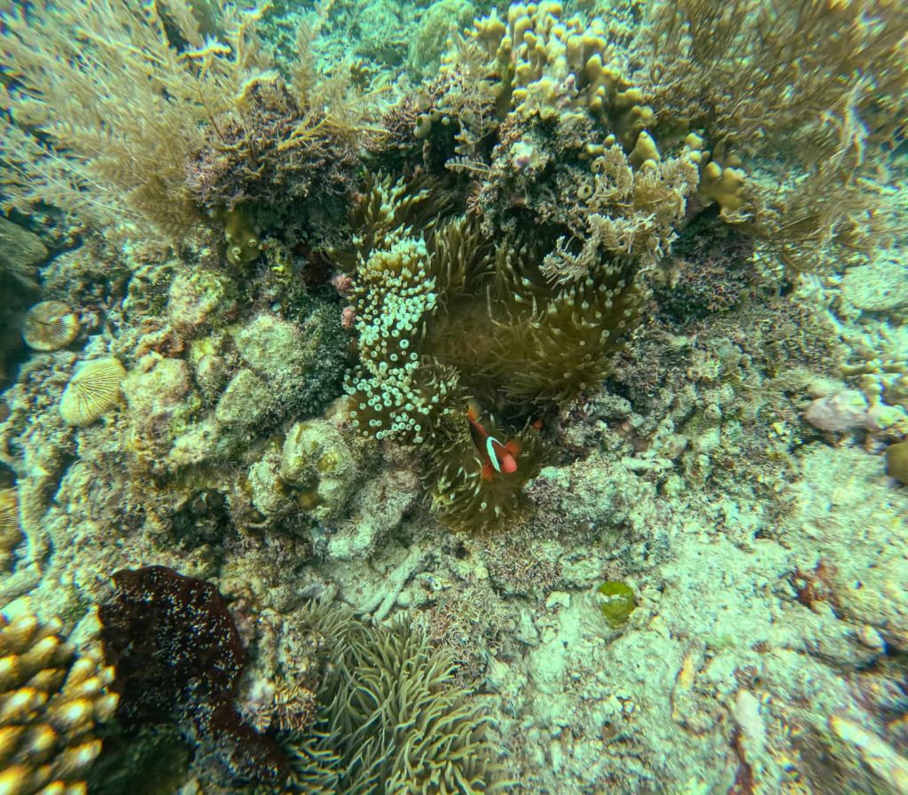 Sulawesi poganda beach Banggai