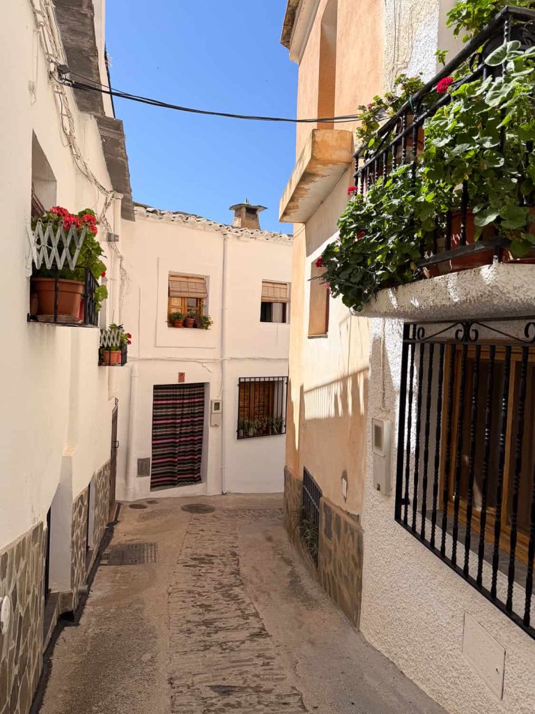 soportujar