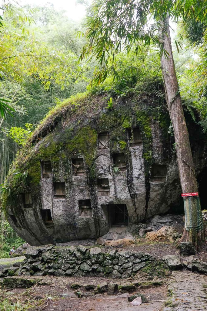 sulawesi itinerario 
